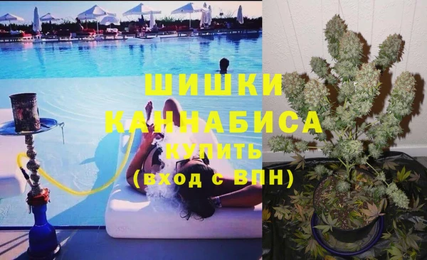 молекула духа Алзамай