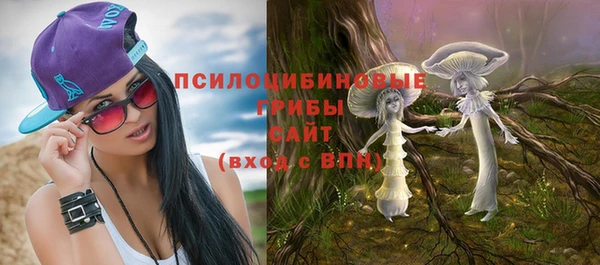 молекула духа Алексин
