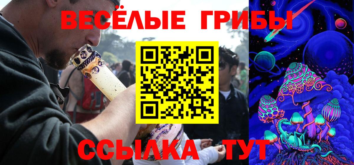 Псилоцибиновые грибы MAGIC MUSHROOMS Кольчугино