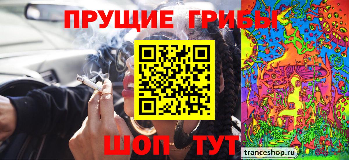 купить закладку  Псилоцибиновые грибы MAGIC MUSHROOMS  Вход с VPN  Кольчугино  Псилоцибиновые грибы мицелий 