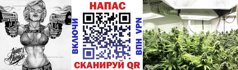 Конопля White Widow  Кольчугино 